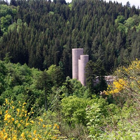 Fewo Purper Frauenberg Exteriér fotografie