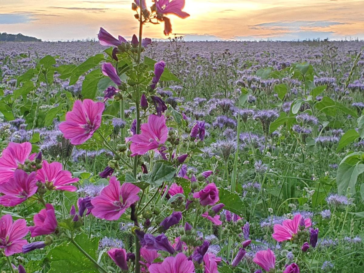 Fewo Purper Frauenberg Exteriér fotografie