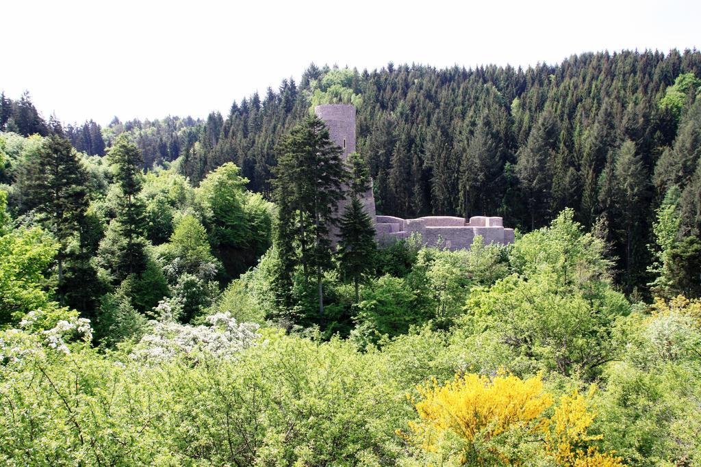 Fewo Purper Frauenberg Exteriér fotografie