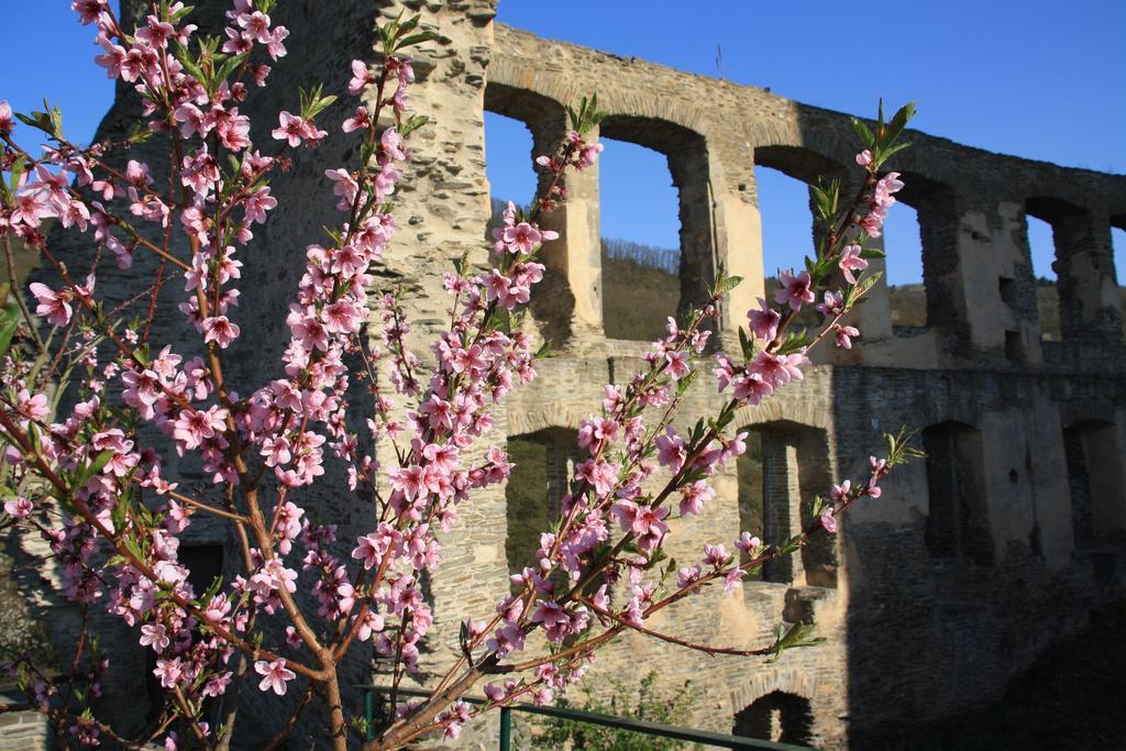 Fewo Purper Frauenberg Exteriér fotografie